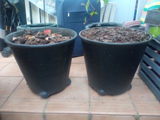 Macetas y cosas para el jardín