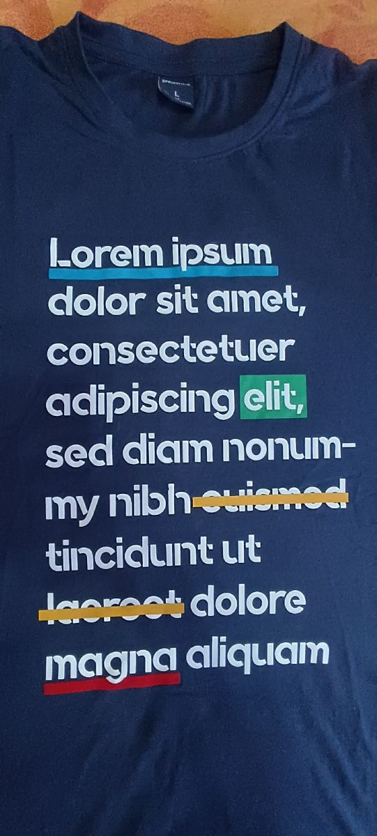 Camiseta Pull and Bear