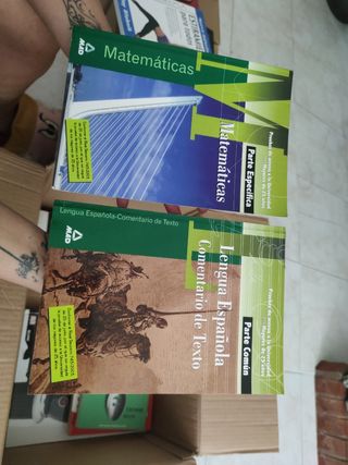 Matemáticas y Lengua y Española