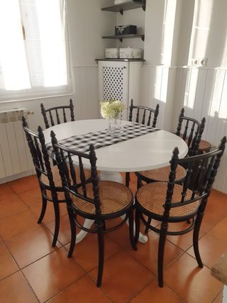 Seis Sillas Fischel by Thonet