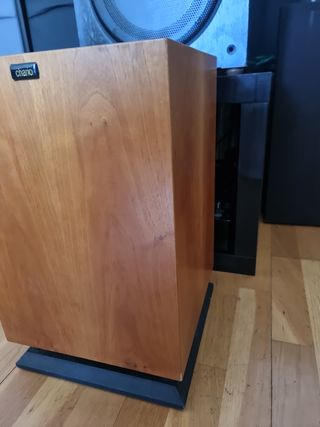 subwoofer autoamplificado para reparar