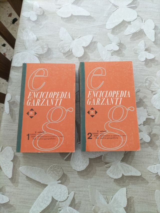 Enciclopedia Garzanti primo è secondo volume 