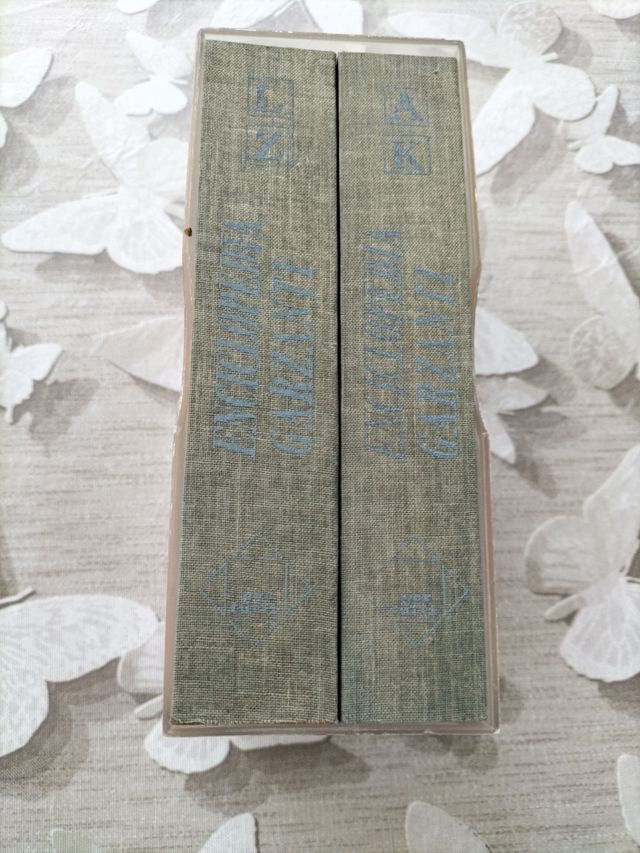 Enciclopedia Garzanti primo è secondo volume 