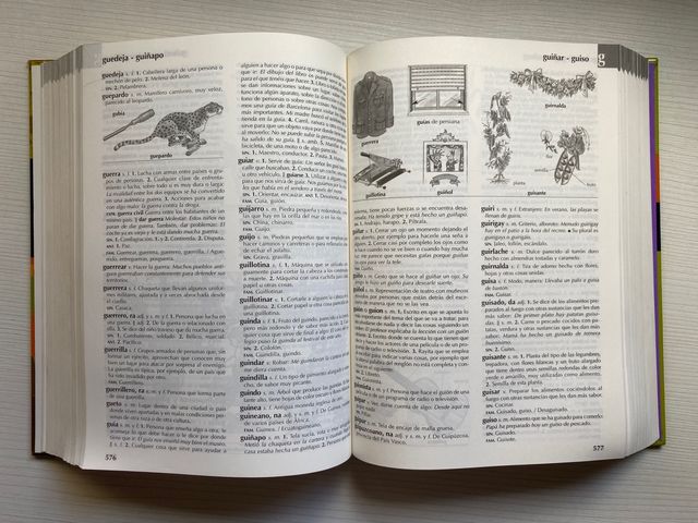 Diccionario en castellano