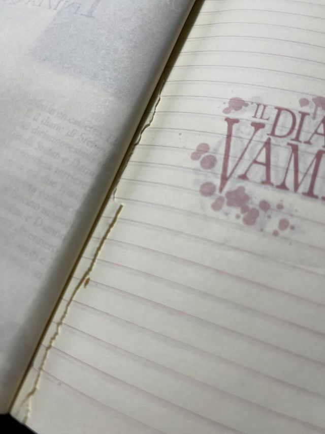 Il Diario Del  Vampiro