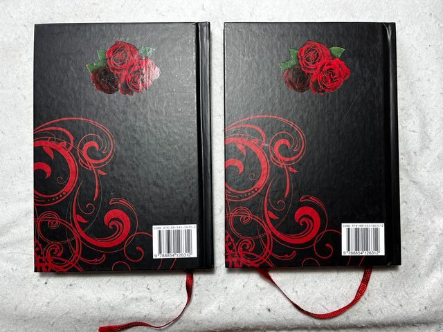 Il Diario Del  Vampiro