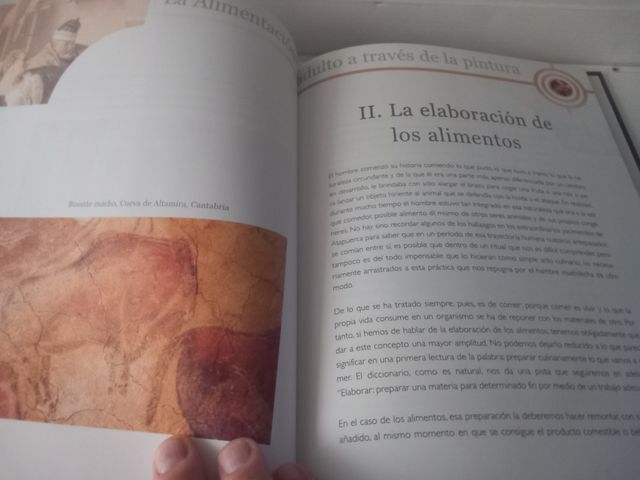 La alimentación del adulto a través de la pintura