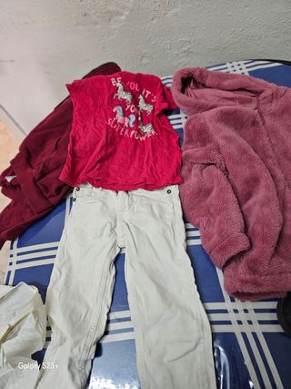 Todo el lote 15