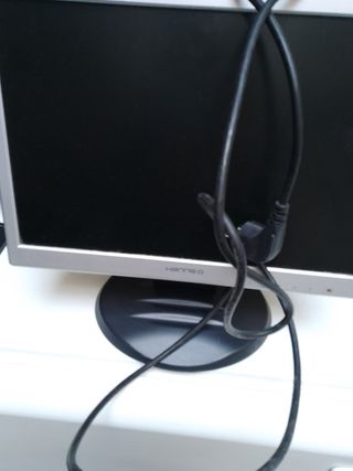 monitor 