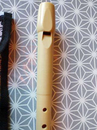 Flauta escolar+ regalo funda Gabol