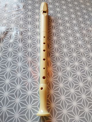 Flauta escolar+ regalo funda Gabol