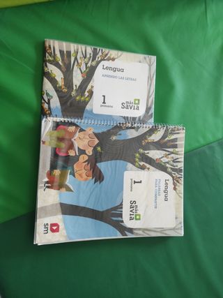 libros primaria Andalucía 1°y 2°
