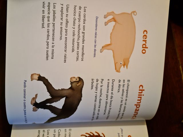 Mi Primer Diccionario de Animales