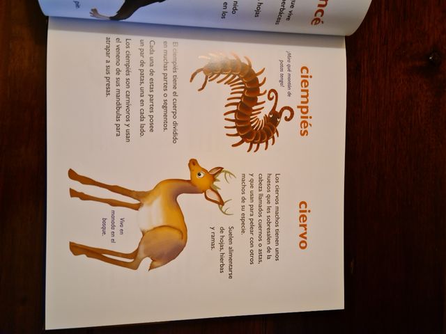 Mi Primer Diccionario de Animales