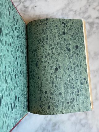 Flora Bíblico - Poética de Talegón