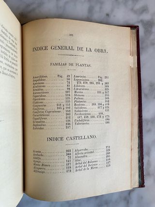 Flora Bíblico - Poética de Talegón