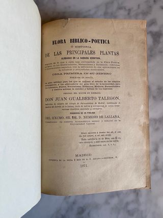 Flora Bíblico - Poética de Talegón