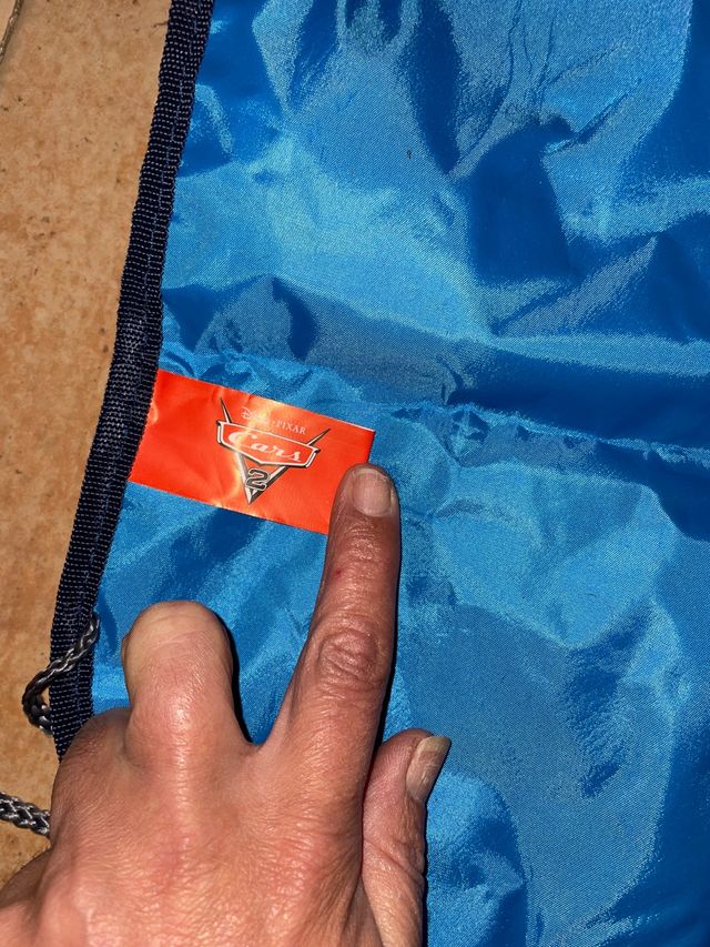 Organizador asiento coche Cars