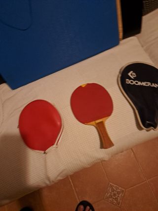 palas ping pong vic