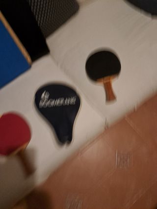 palas ping pong vic