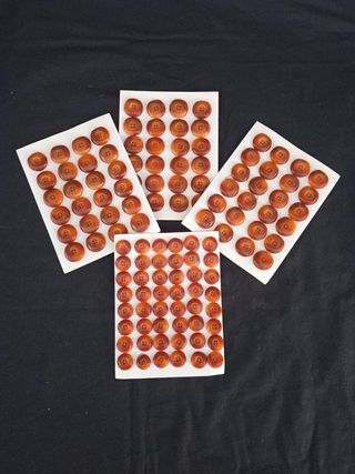 Antiguos Botones Costura