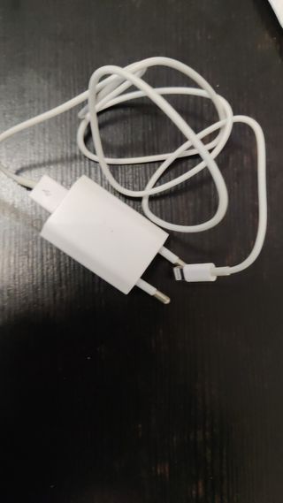 cargador Apple original