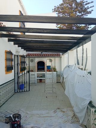chollazo pintura 