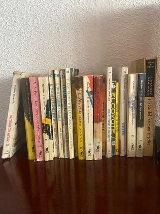 Lote de 20 libros policiacos y novela negra