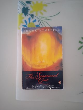 Lote 3 libros en inglés