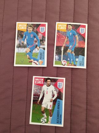 Los ídolos de la roja. Cracks mundiales
