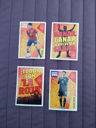 Los ídolos de la roja. Cracks mundiales