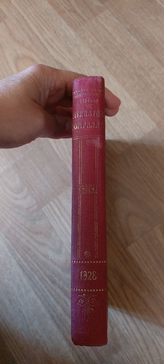 Lecciones de Literatura Española comparada con la