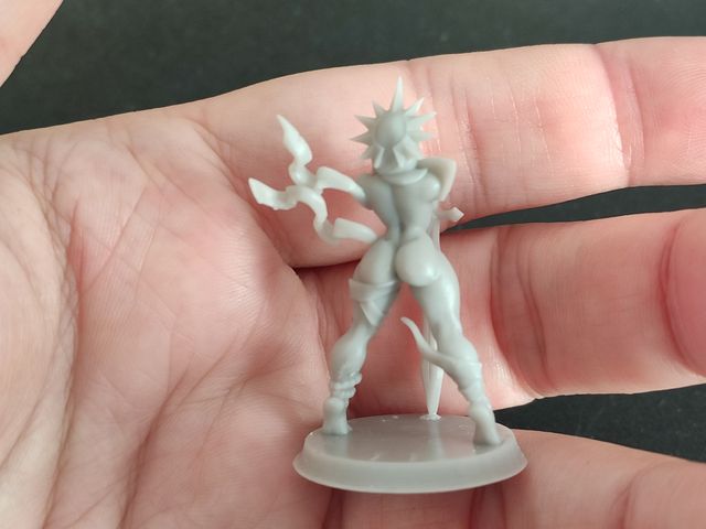 VARIADO - Miniaturas - Aventureras de Fantasía (2)