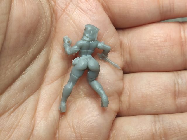 VARIADO - Miniaturas - Aventureras de Fantasía (2)