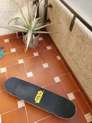 Skateboard STARWARDS