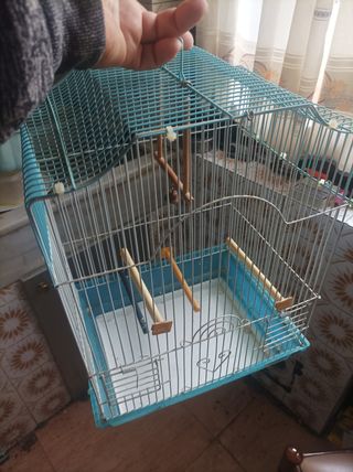 jaulas para pajaro