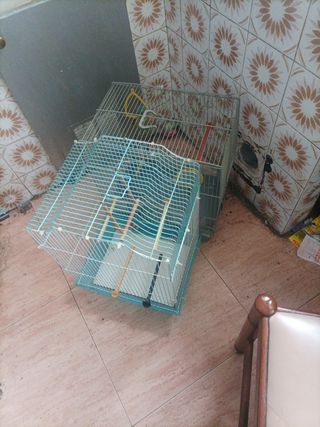jaulas para pajaro
