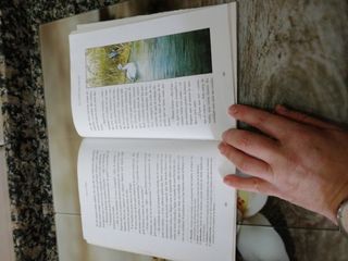 El gigante egoísta y otros cuentos