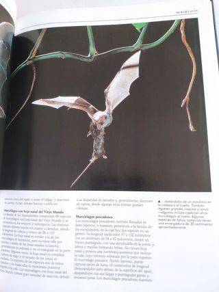 ENCICLOPEDIA NATIONAL GEOGRAPHIC