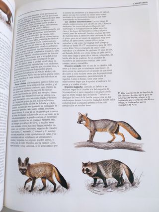 ENCICLOPEDIA NATIONAL GEOGRAPHIC