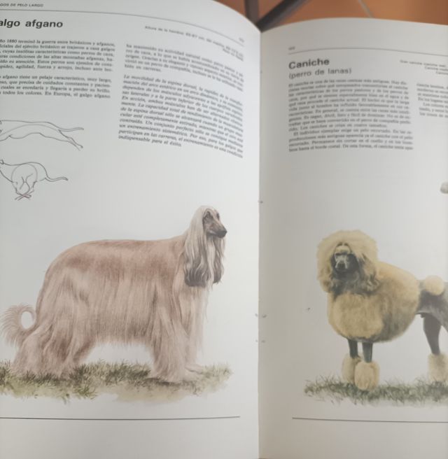 Atlas ilustrado de animales domésticos