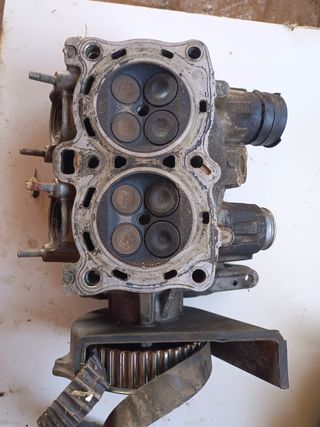 Culatas de Pan european 1100st