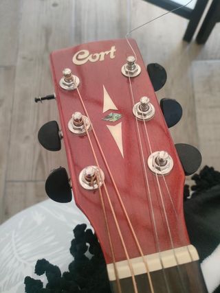 Guitarra cort sfx e ssb