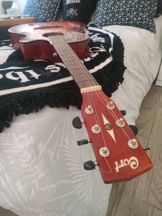 Guitarra cort sfx e ssb