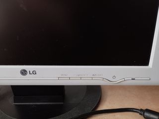 Monitor de ordenador LG Flatron L1717S