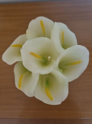 Candela Master Candles