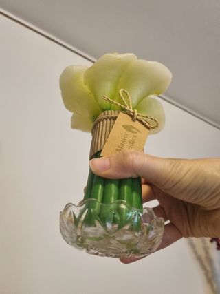 Candela Master Candles