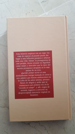 Novela Querido Primer Novio Zoe Valdés