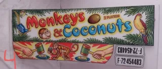 Lote 14 frontales metacrilato Falgas