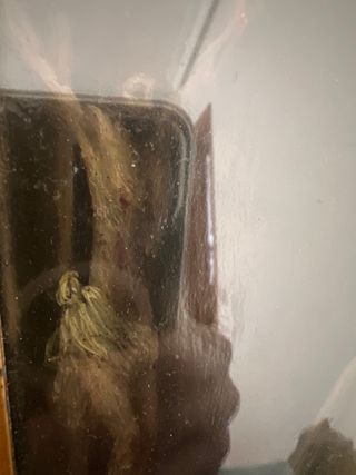 OLEO SOBRE COBRE SIGLO XVII DE GRAN TAMAÑO